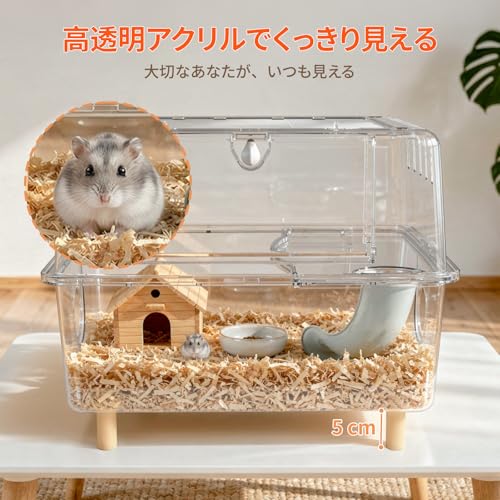 Amazon.co.jp: Ruexue